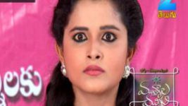 Mutyala muggu S01E336 19th June 2017 Full Episode