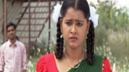 Mutyala muggu S01E443 15th November 2017 Full Episode