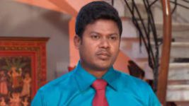 Mutyala muggu S01E495 26th January 2018 Full Episode