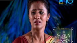 Mutyala muggu S01E51 16th May 2016 Full Episode