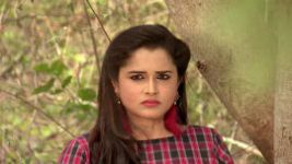 Mutyala muggu S01E585 5th June 2018 Full Episode