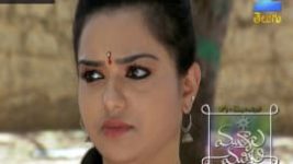Mutyala muggu S01E62 31st May 2016 Full Episode