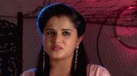 Mutyala muggu S01E705 20th November 2018 Full Episode