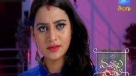 Mutyala muggu S01E77 21st June 2016 Full Episode