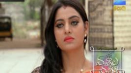 Mutyala muggu S01E83 29th June 2016 Full Episode