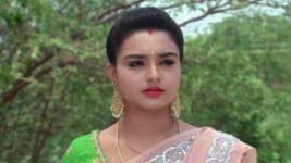 Mutyala muggu S01E850 11th June 2019 Full Episode