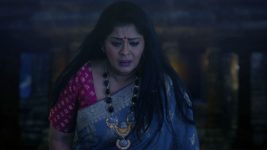 Naagin (Colors Bangla) S06 E62 Are Seema and Rainaksh related?