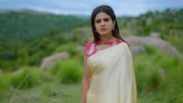 Naagini 2 S01E610 2nd August 2022 Full Episode