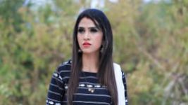 Naagini S01E1030 20th January 2020 Full Episode