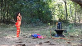 Naagini S01E1036 28th January 2020 Full Episode