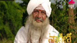 Naagini S01E134 18th August 2016 Full Episode