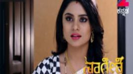 Naagini S01E239 12th January 2017 Full Episode