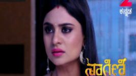 Naagini S01E241 16th January 2017 Full Episode