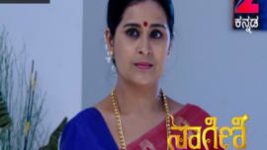 Naagini S01E242 17th January 2017 Full Episode