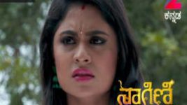 Naagini S01E244 19th January 2017 Full Episode