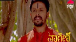 Naagini S01E245 20th January 2017 Full Episode