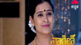 Naagini S01E251 30th January 2017 Full Episode