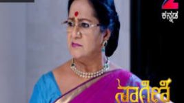 Naagini S01E252 31st January 2017 Full Episode