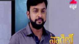 Naagini S01E254 2nd February 2017 Full Episode