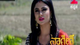 Naagini S01E256 6th February 2017 Full Episode