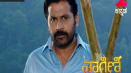 Naagini S01E266 20th February 2017 Full Episode