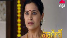 Naagini S01E280 10th March 2017 Full Episode