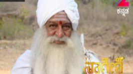 Naagini S01E281 13th March 2017 Full Episode