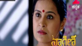 Naagini S01E286 20th March 2017 Full Episode
