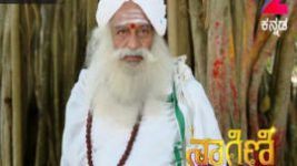 Naagini S01E297 4th April 2017 Full Episode