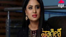 Naagini S01E302 11th April 2017 Full Episode