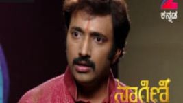 Naagini S01E306 17th April 2017 Full Episode