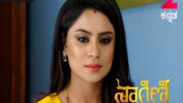 Naagini S01E308 19th April 2017 Full Episode