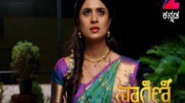 Naagini S01E311 24th April 2017 Full Episode