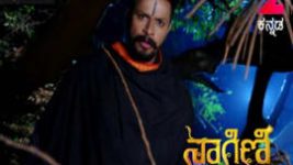 Naagini S01E314 27th April 2017 Full Episode