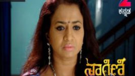 Naagini S01E316 1st May 2017 Full Episode