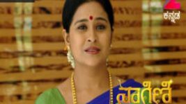 Naagini S01E318 3rd May 2017 Full Episode