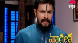 Naagini S01E319 4th May 2017 Full Episode