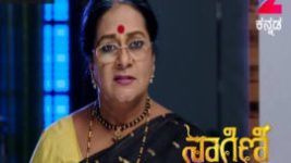 Naagini S01E320 5th May 2017 Full Episode