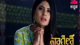 Naagini S01E327 16th May 2017 Full Episode