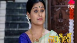 Naagini S01E329 18th May 2017 Full Episode