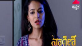 Naagini S01E330 19th May 2017 Full Episode