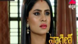 Naagini S01E334 25th May 2017 Full Episode