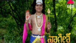 Naagini S01E346 12th June 2017 Full Episode