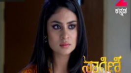 Naagini S01E347 13th June 2017 Full Episode
