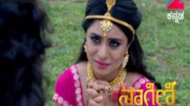 Naagini S01E352 20th June 2017 Full Episode