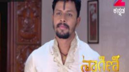 Naagini S01E354 22nd June 2017 Full Episode