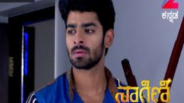 Naagini S01E369 13th July 2017 Full Episode