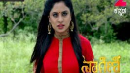 Naagini S01E388 9th August 2017 Full Episode