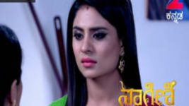 Naagini S01E394 17th August 2017 Full Episode