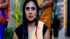 Naagini S01E464 23rd November 2017 Full Episode